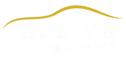 TARUMÃ VEÍCULOS